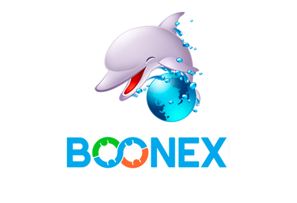 boonex development